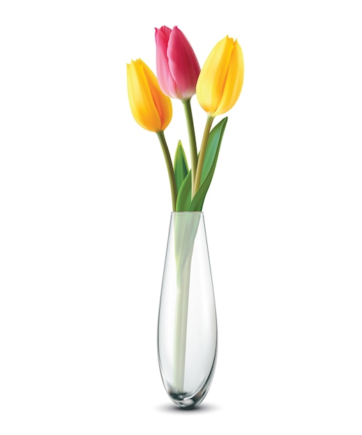 Bouquet di tulipani in un vaso di vetro su un bianco. Realistico.