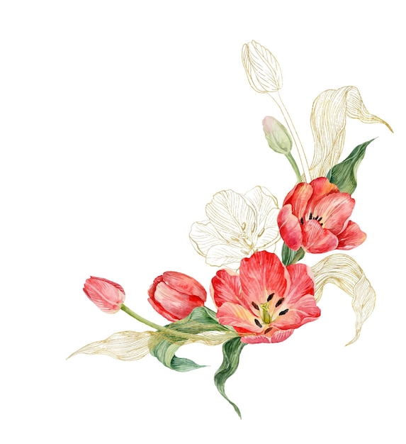 Bouquet di tulipani rossi ad acquerello con contorni dorati Illustrazione ad acquerello per la progettazione di biglietti d'invito Cornice di fiori primaverili
