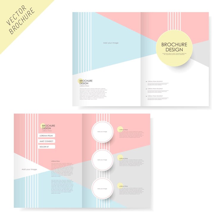 Vettore brochure design con rosa e azzurro