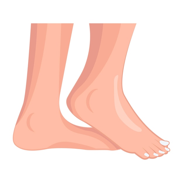 Bundle di icone femminili a piedi piatti