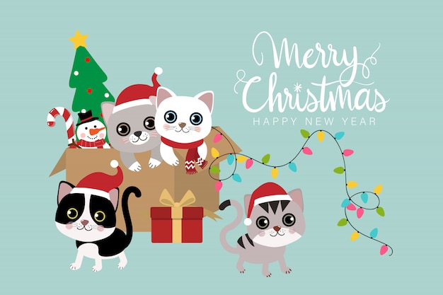 Buon Natale con simpatico gatto.
