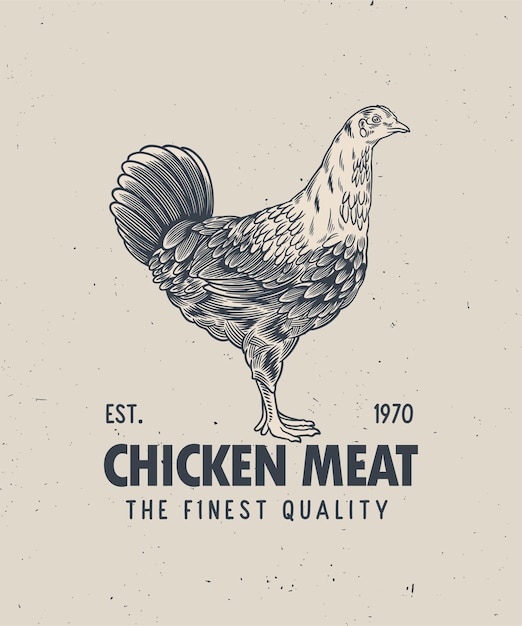 Butcher Shop Vintage Brand Chicken Rooster Company Logo vettoriale in bianco e nero