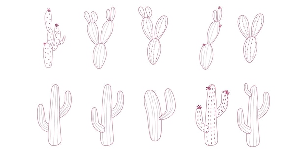Cactus Boho occidentale