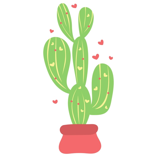 Cactus carino