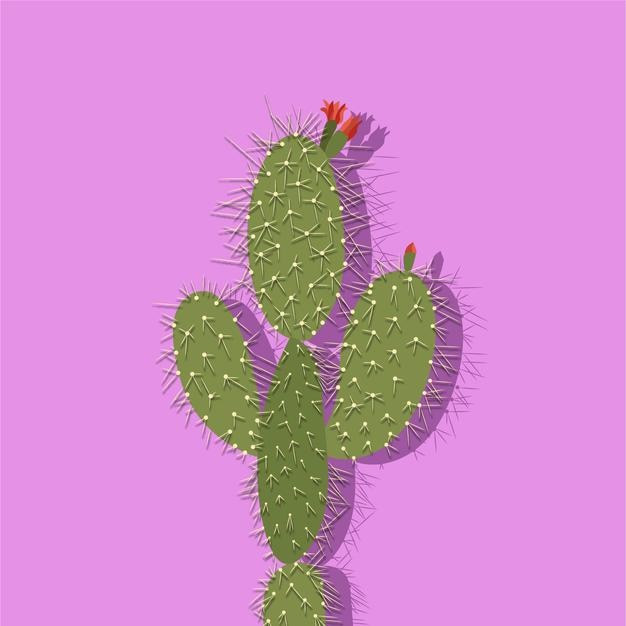 Cactus in forte espansione