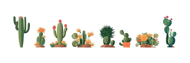 Cactus set cartone animato piatto isolato su sfondo bianco Illustrazione vettoriale