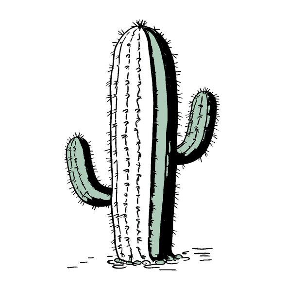 Cactus