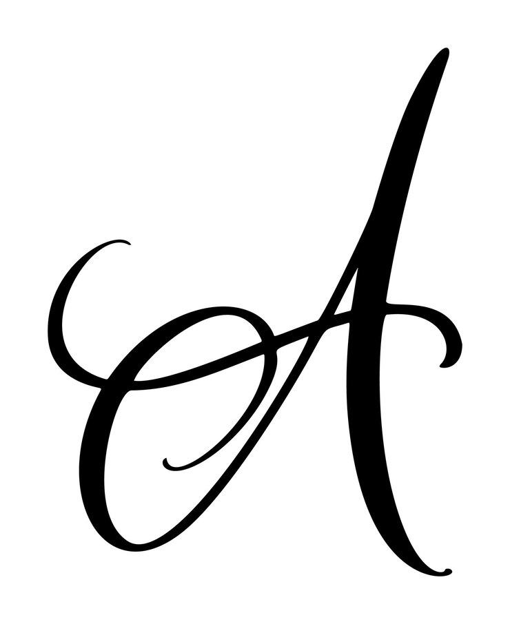 Vettore calligrafia vettoriale lettera disegnata a mano icona di carattere script stile pennello scritto a mano