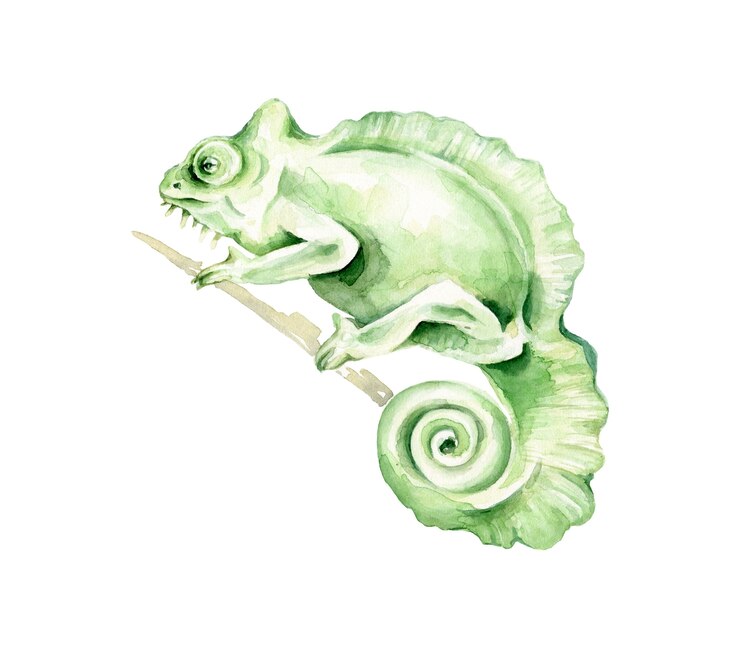 Vettore camaleonte dell'acquerello disegnato a mano animale esotico.