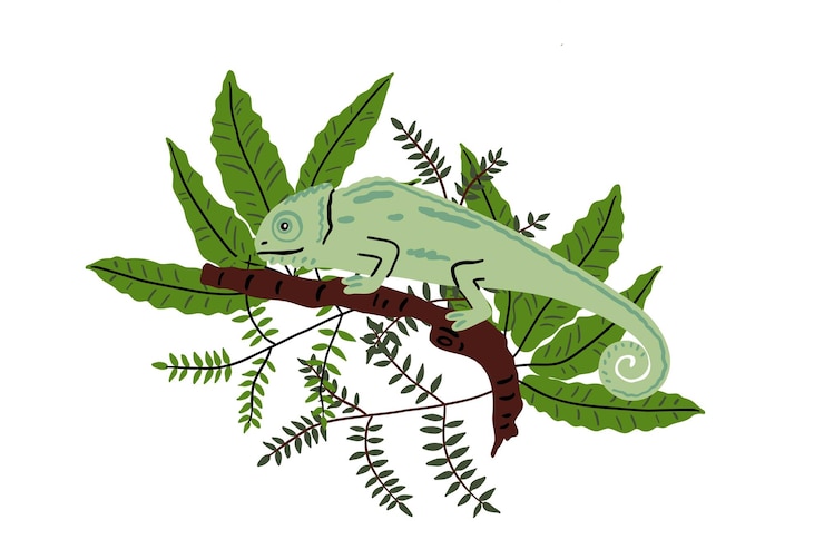 Vettore camaleonte disegnato a mano in stile piatto natura selvaggia giungla illustrazione vettoriale per il design