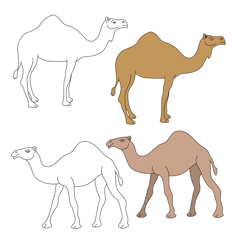 Camel Clipart Set Wild Animals collezione di clip per gli amanti della giungla e della fauna selvatica