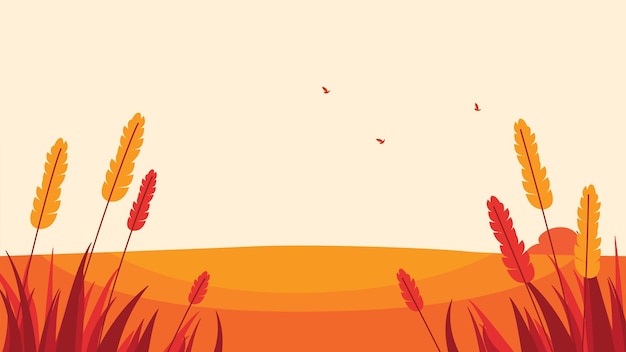 Campo di grano vista naturale paesaggio al mattino