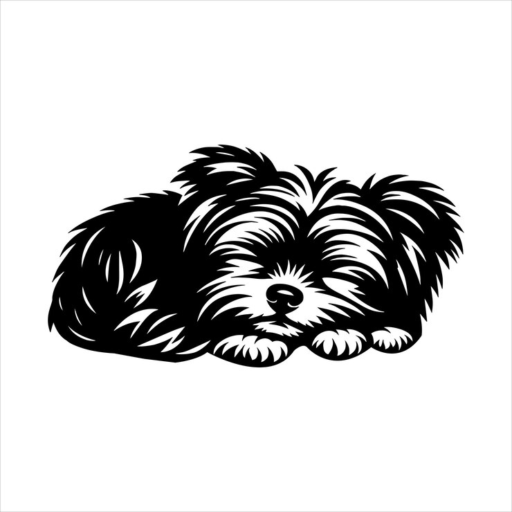 Vettore cane affenpinscher svg