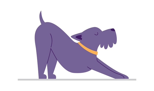 Cane che fa yoga