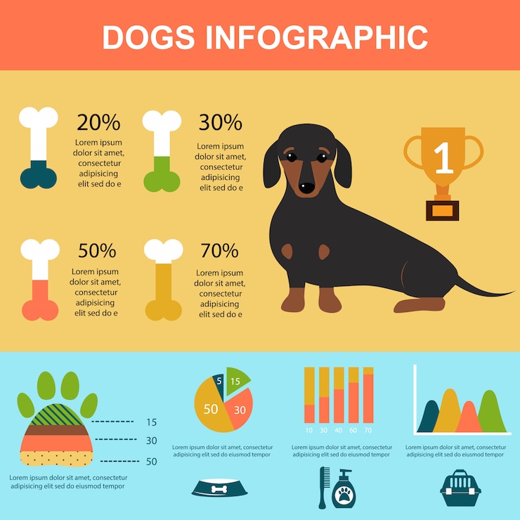 Vettore cane del bassotto tedesco che gioca insieme di simboli infographic di presentazione di vettore.