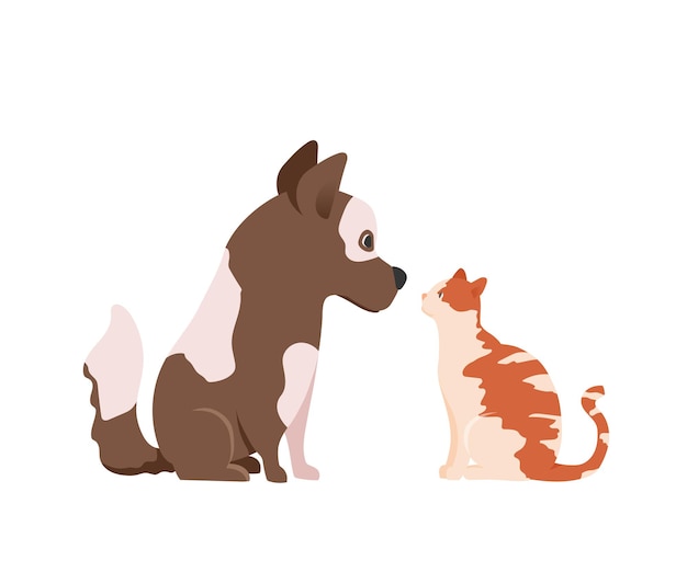 Cane e gatto si guardano