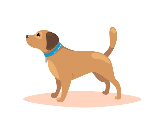 Cane in piedi Concetto di addestramento per animali domestici Illustrazione vettoriale