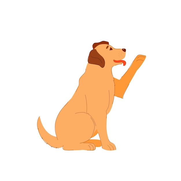 cane labrador retrieve si siede e dà una zampa anteriore cane carino sorride e obbedisce ai comandi