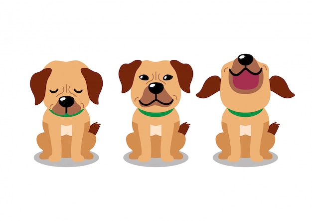 cane personaggio dei cartoni animati pone insieme