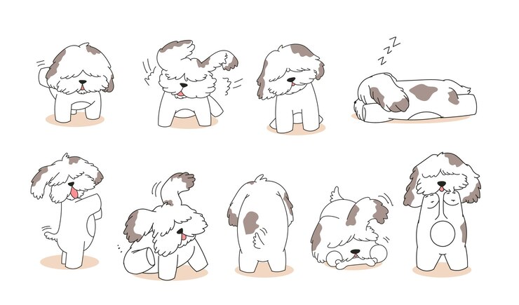 Cane Shih Tzu carino disegnato a mano