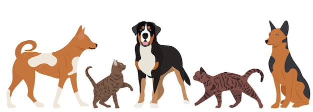 Cani e gatti stanno giocando in un vettore isolato design piatto
