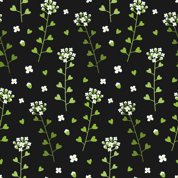 Capsella campo verde erbe scuro motivo senza giunture Illustrazione botanica della borsa del pastore