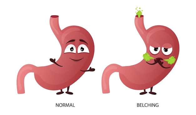 Carattere dello stomaco dei cartoni animati Concetto di bruciore di stomaco e eruttazione di organi interni sani e malati Illustrazione vettoriale isolato sfondo bianco