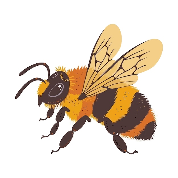 carina illustrazione vettoriale dell'ape bumble