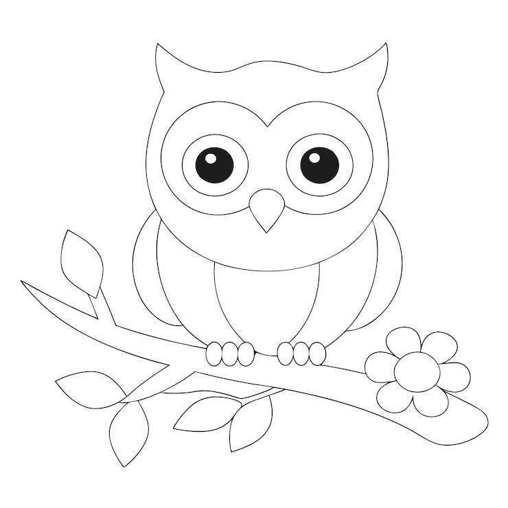 Vettore carino gufo con fiori e foglie line art per le pagine da colorare