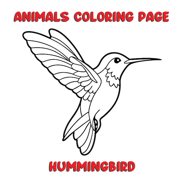 carino HUMMINGBIRD contorno arte illustrazione pagina da colorare libro per bambini