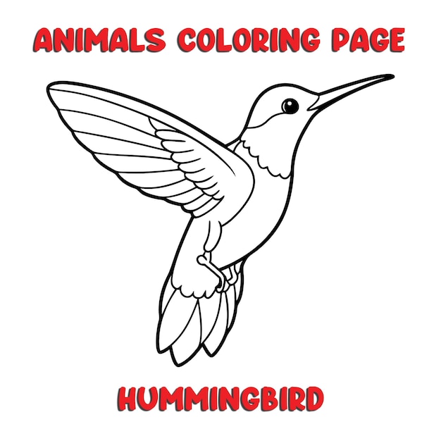 carino HUMMINGBIRD contorno arte illustrazione pagina da colorare libro per bambini