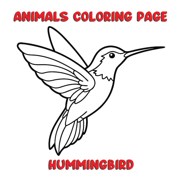 carino HUMMINGBIRD contorno arte illustrazione pagina da colorare libro per bambini