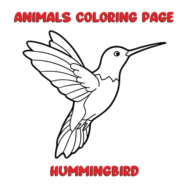 carino HUMMINGBIRD contorno arte illustrazione pagina da colorare libro per bambini