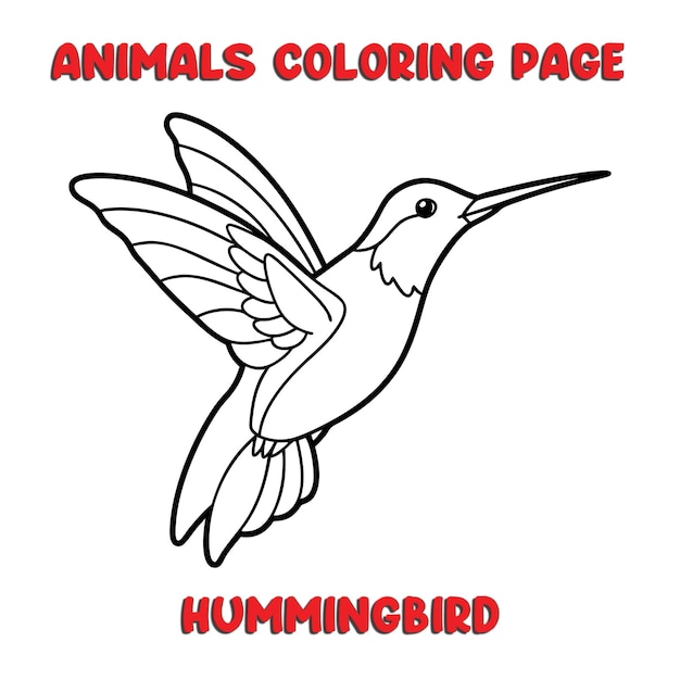 carino HUMMINGBIRD contorno arte illustrazione pagina da colorare libro per bambini