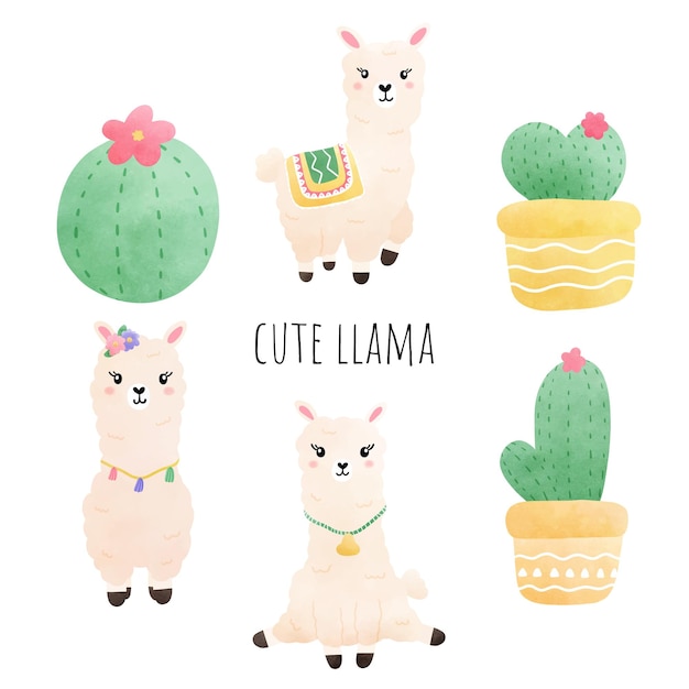 Carino lama e cactus illustrazione vettore