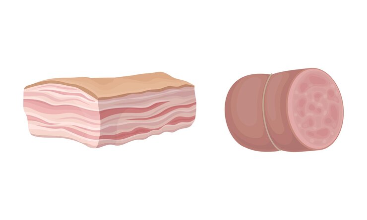 Vettore carne con lardo e salsicce come alimento da set vettoriale di macelleria