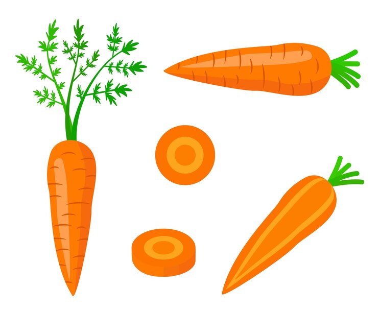 Vettore carota fresca con foglia verde in stile cartone animato vettore metà intera e parti carota dolce isolata su sfondo bianco