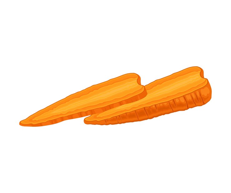 Vettore carota fresca tagliata verticalmente in due metà elementi vettoriali radice agricola biologica