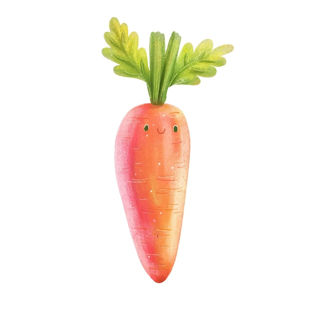carota vegetale fondo bianco acquerello 6