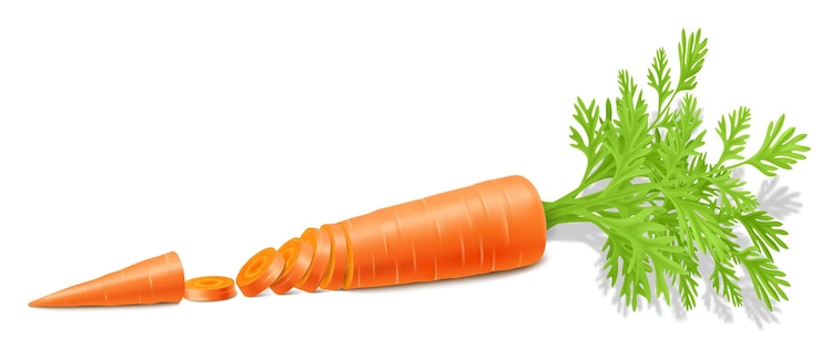 Vettore carote con foglie isolate su sfondo bianco carota matura intera e fette maglia fatta a mano completamente modificabile illustrazione vettoriale 3d realistica per menu di cucina pubblicità di fitoterapia
