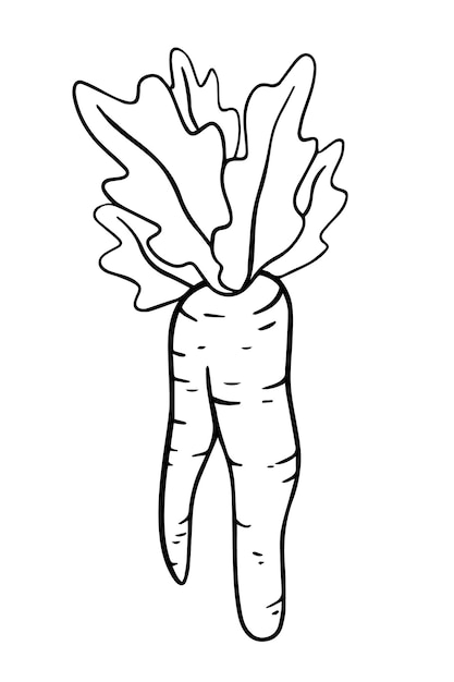 Carote con verdure doodle lineare