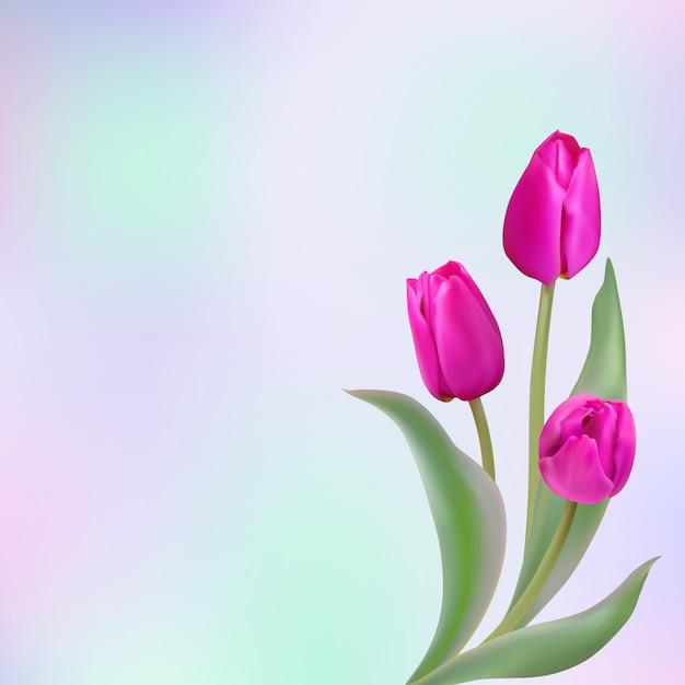 Carta di tulipani