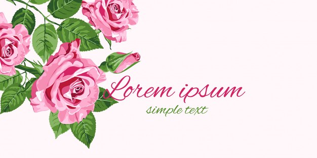 Cartolina d'auguri di rose rosa brillante con posto per il testo