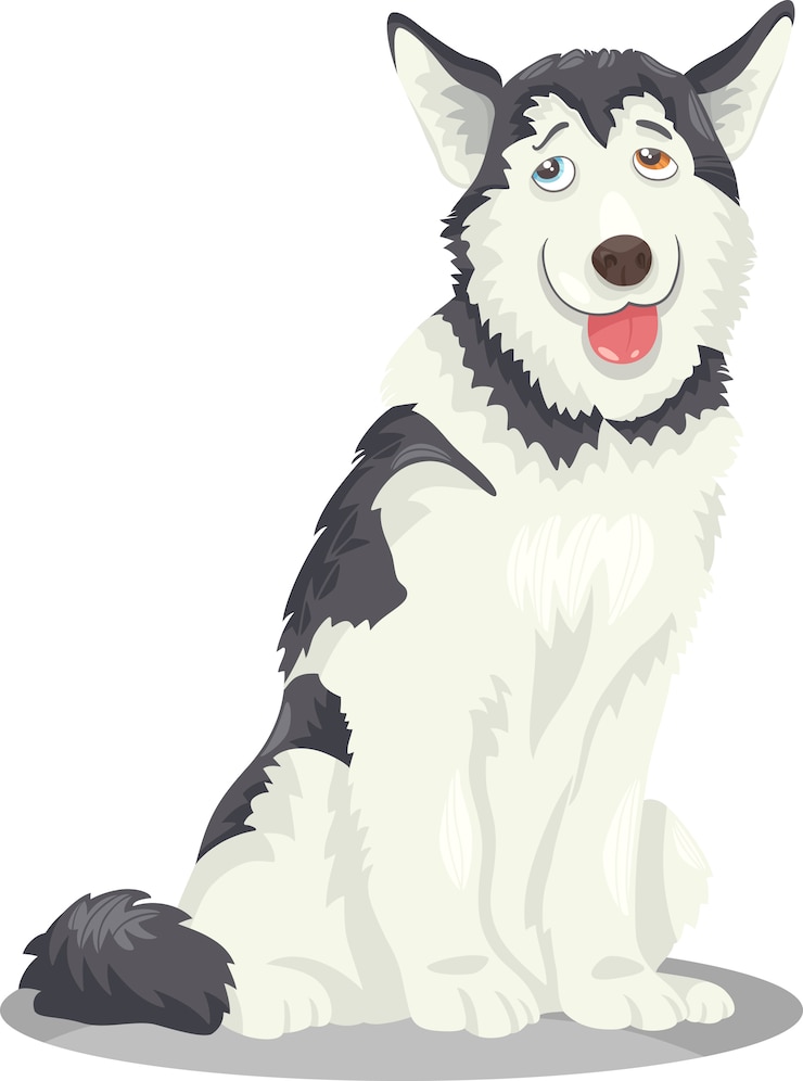 Vettore cartone animato di cane husky o malamute