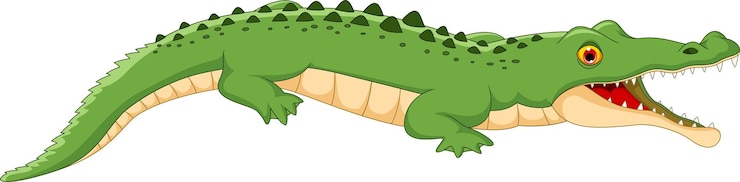 Vettore cartone animato di coccodrillo isolato