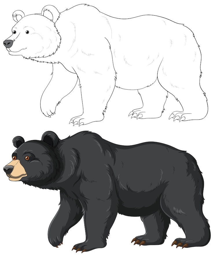 Vettore cartone animato di orso nero
