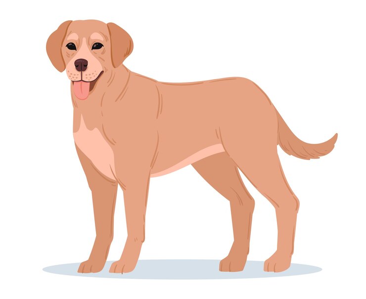 Vettore cartoon labrador retriever guida di labrador salvataggio o cane da compagnia illustrazione vettoriale piatta dell'animale domestico domestico di razza di cane carino