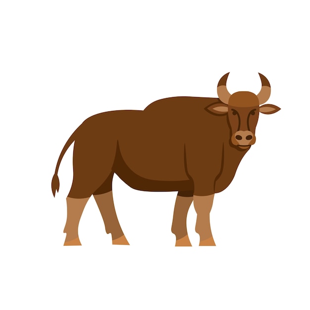Cartoon toro gaur su sfondo bianco Illustrazione di cartoni animati piatti per bambini