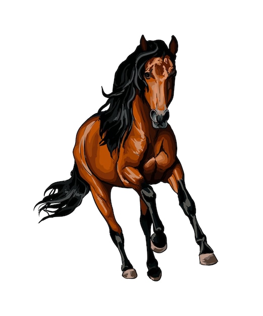 Cavallo che corre al galoppo da schizzi di acquerelli disegno colorato realistico