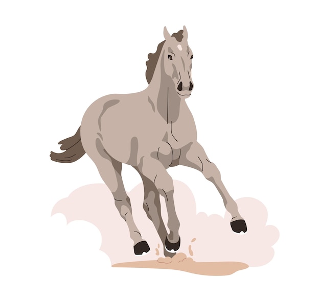 Cavallo in corsa veloce Stallone di razza pura forte in azione al galoppo con nuvole di sabbia polvere di terra bellissimo equino in corsa in movimento Illustrazione vettoriale piatta isolata su sfondo bianco